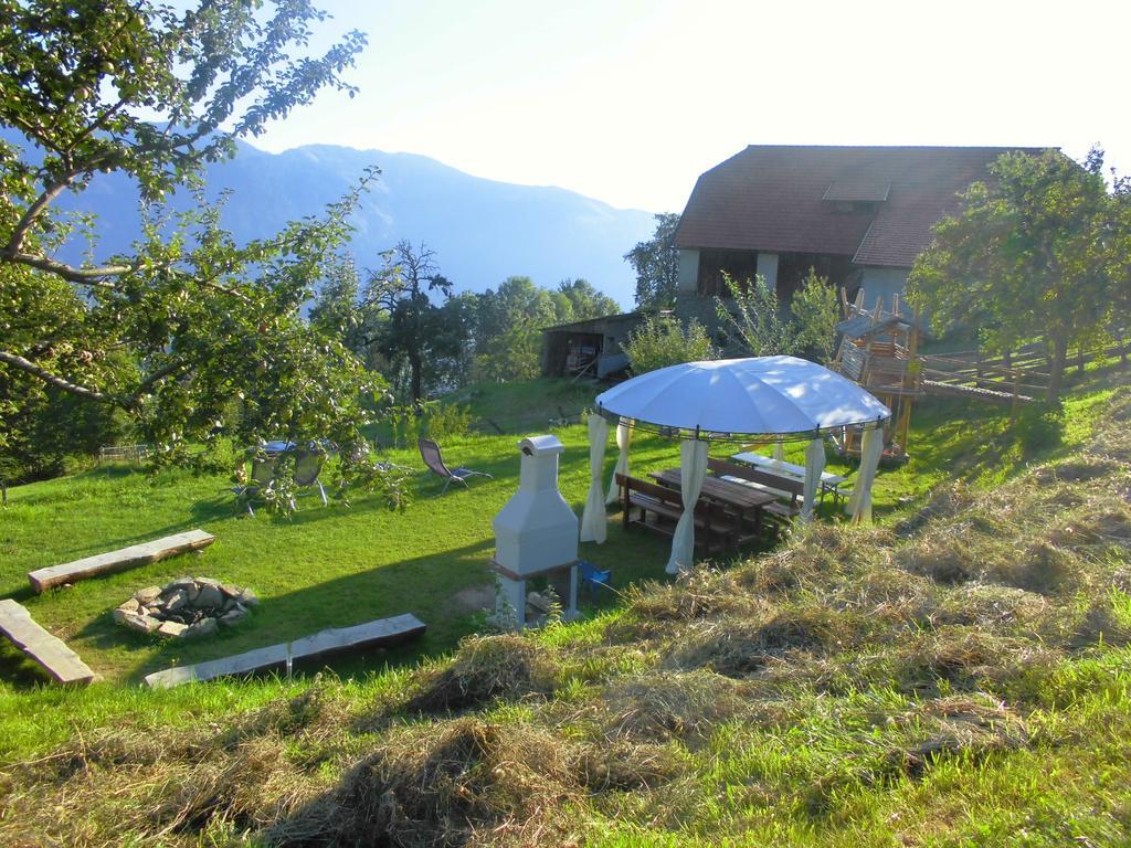 Bergbauernhof Stauder - Hirschbergalpakas Lendorf Exterior foto